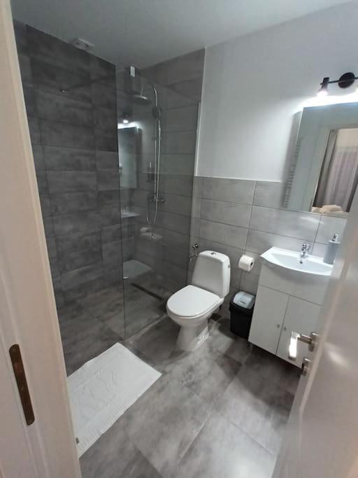 Old Town Studio 2 Apartment Nr 4 Baia Mare Exterior photo