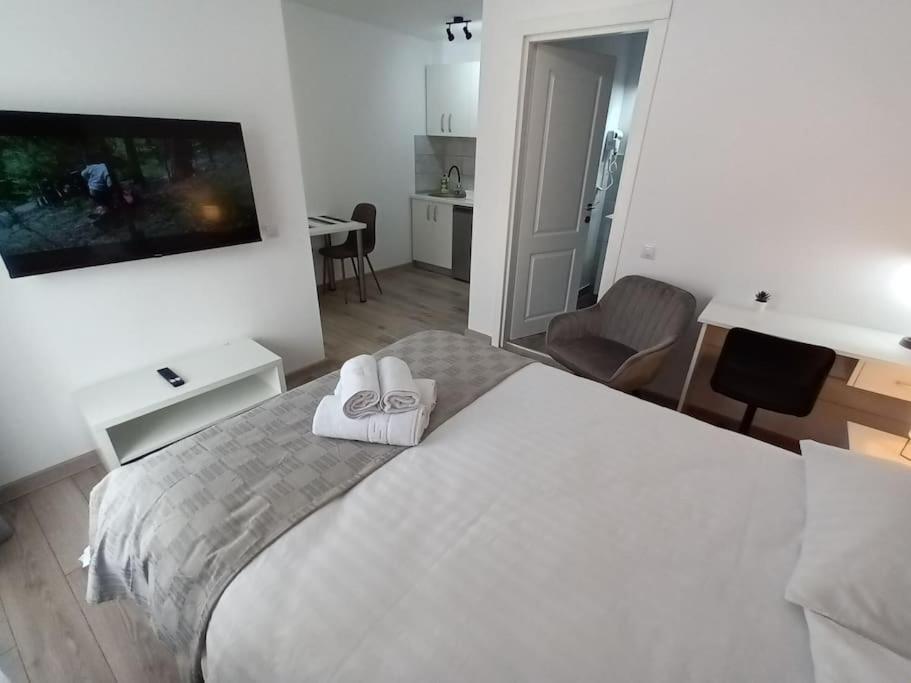 Old Town Studio 2 Apartment Nr 4 Baia Mare Exterior photo